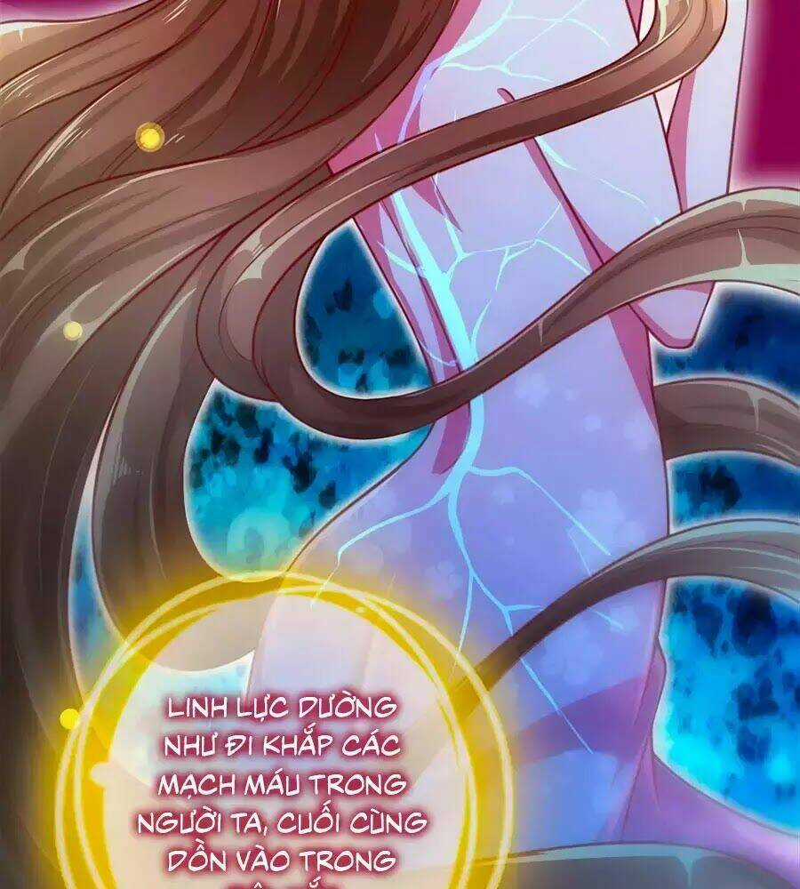 Phụng Lâm Thiên Hạ: Đệ Nhất Mỹ Nữ Chapter 11 trang 24