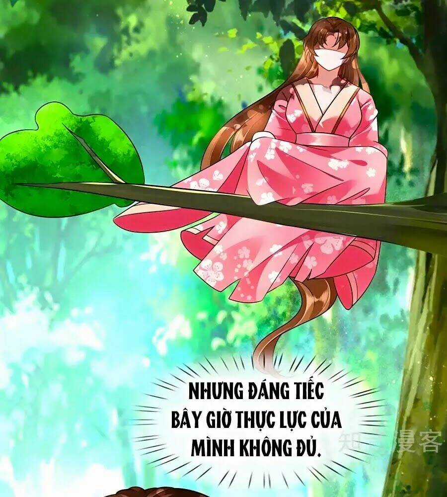 Phụng Lâm Thiên Hạ: Đệ Nhất Mỹ Nữ Chapter 14 trang 24