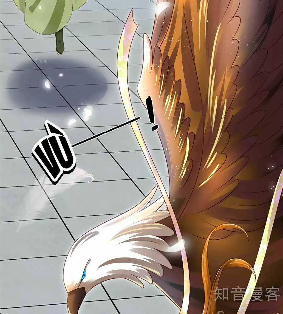 Phụng Lâm Thiên Hạ: Đệ Nhất Mỹ Nữ Chapter 22 trang 6