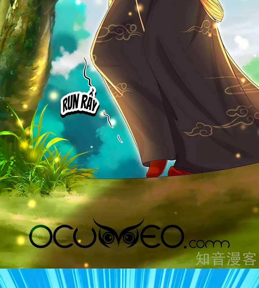 Phụng Lâm Thiên Hạ: Đệ Nhất Mỹ Nữ Chapter 68 trang 8