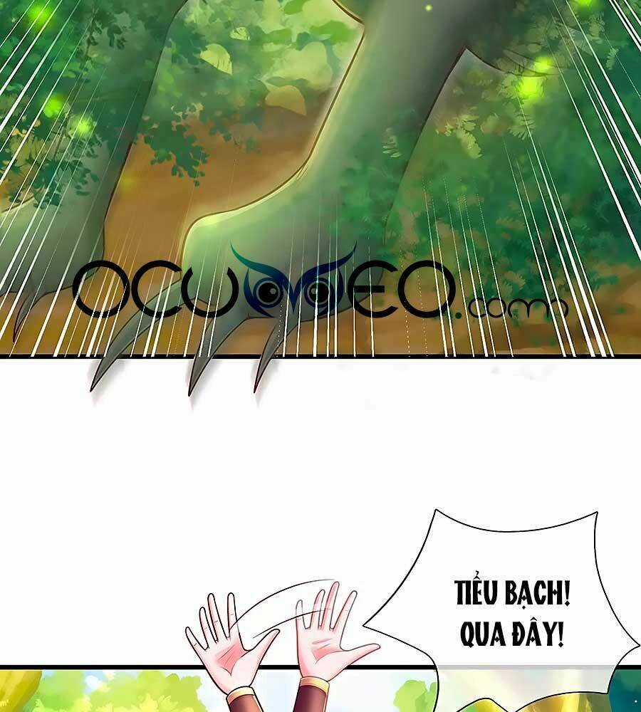 Phụng Lâm Thiên Hạ: Đệ Nhất Mỹ Nữ Chapter 72 trang 2