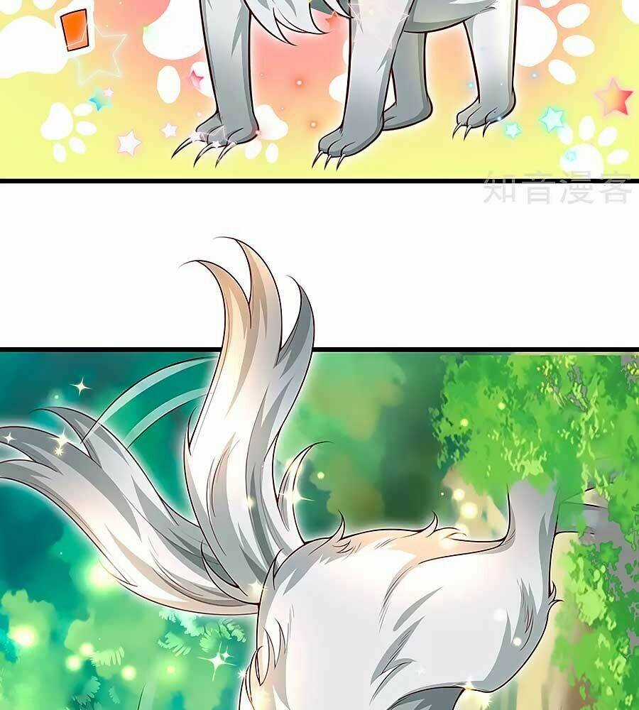 Phụng Lâm Thiên Hạ: Đệ Nhất Mỹ Nữ Chapter 72 trang 5