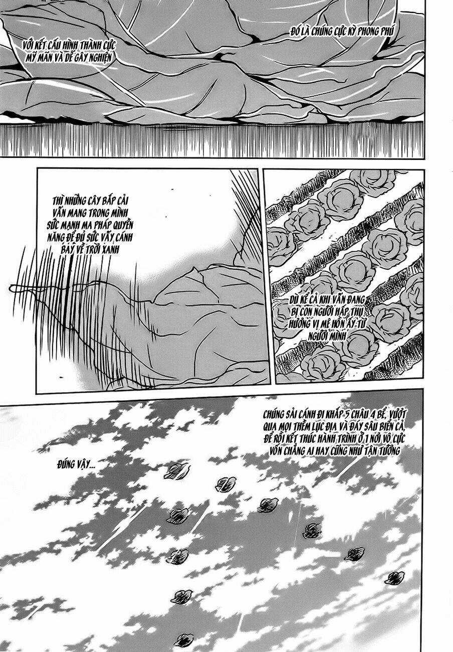 Phước Lành Cho Thế Giới Chapter 2 trang 24