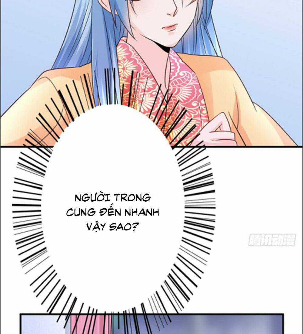 Phượng Hoàng Ngàn Năm Chapter 18 trang 5