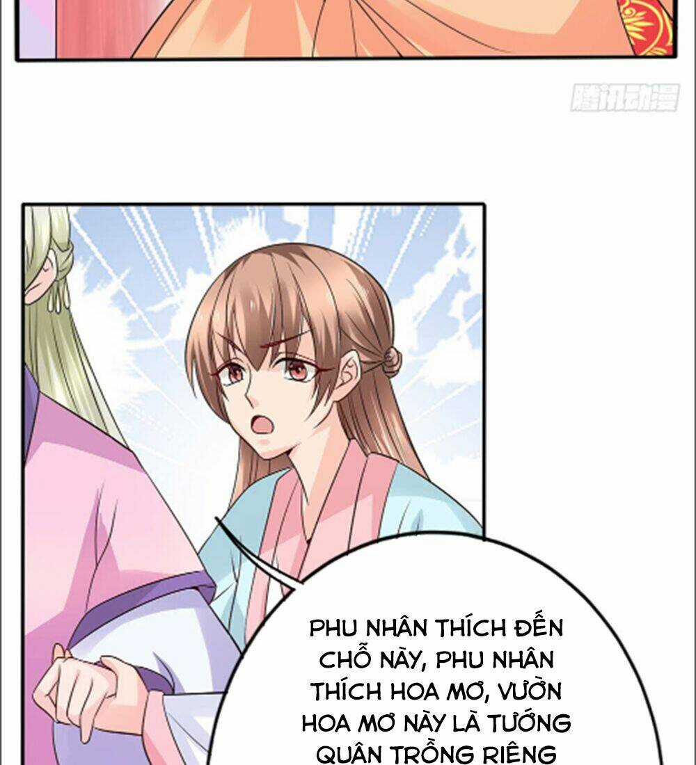 Phượng Hoàng Ngàn Năm Chapter 19 trang 27