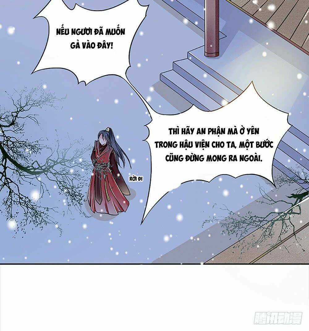 Phượng Hoàng Ngàn Năm Chapter 2 trang 7