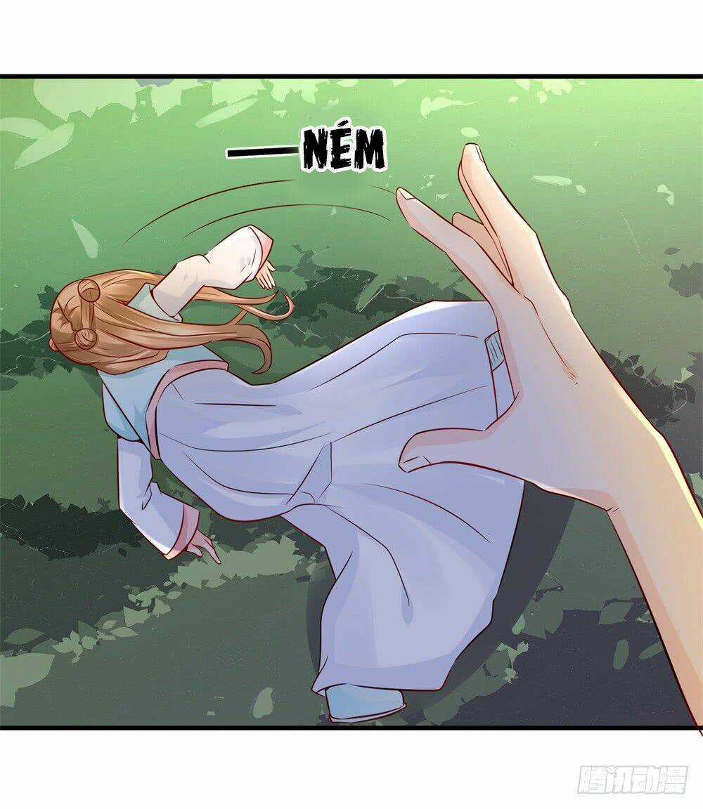 Phượng Hoàng Ngàn Năm Chapter 26 trang 15