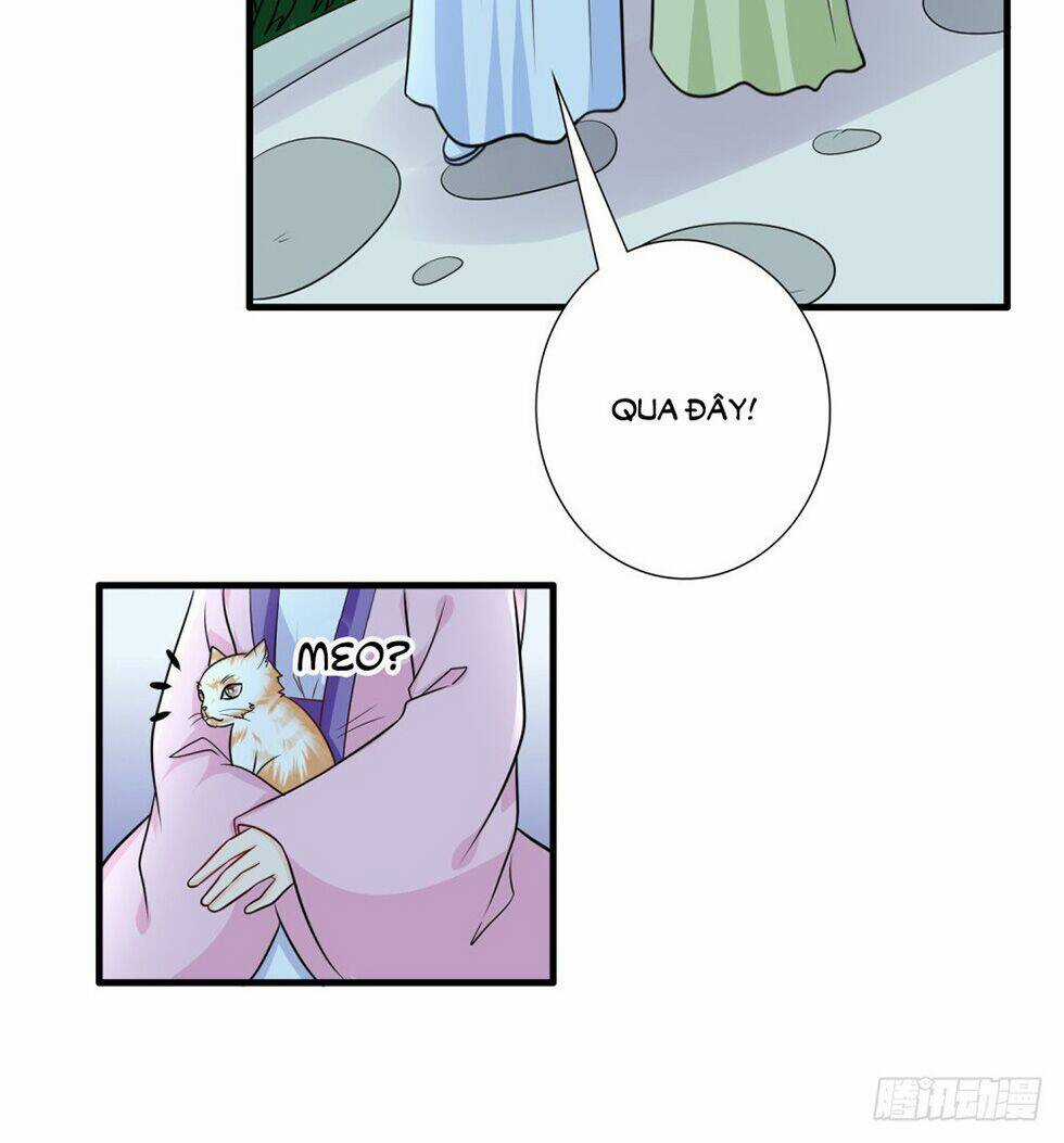 Phượng Hoàng Ngàn Năm Chapter 32 trang 25