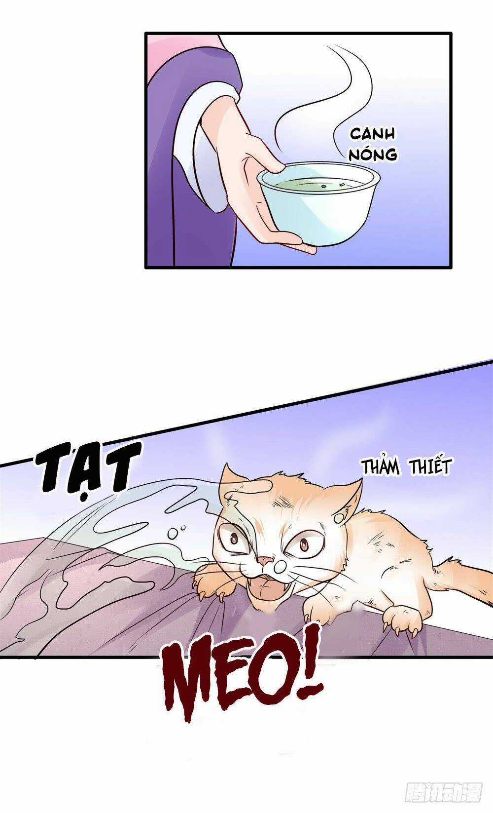 Phượng Hoàng Ngàn Năm Chapter 33 trang 6