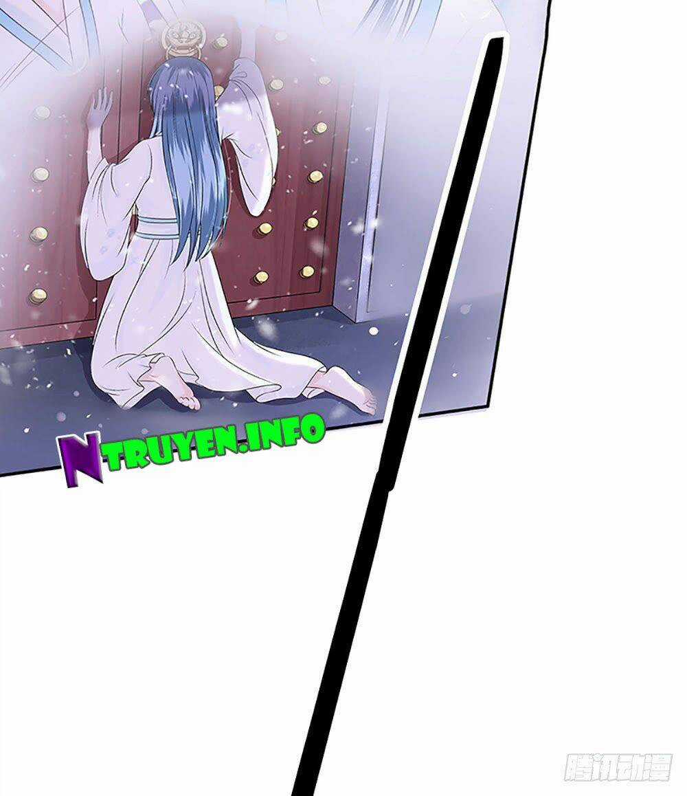 Phượng Hoàng Ngàn Năm Chapter 5 trang 19