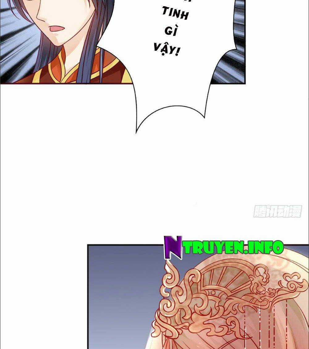 Phượng Hoàng Ngàn Năm Chapter 7 trang 11