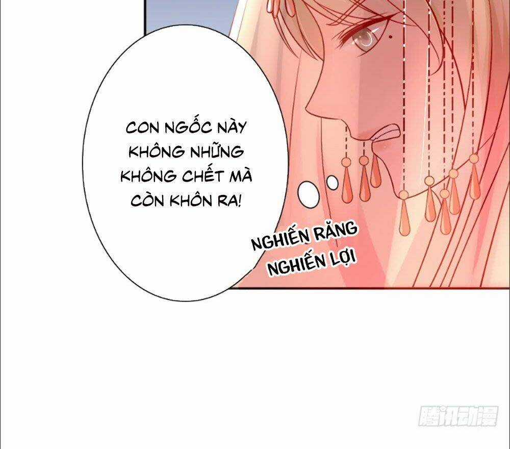 Phượng Hoàng Ngàn Năm Chapter 7 trang 12