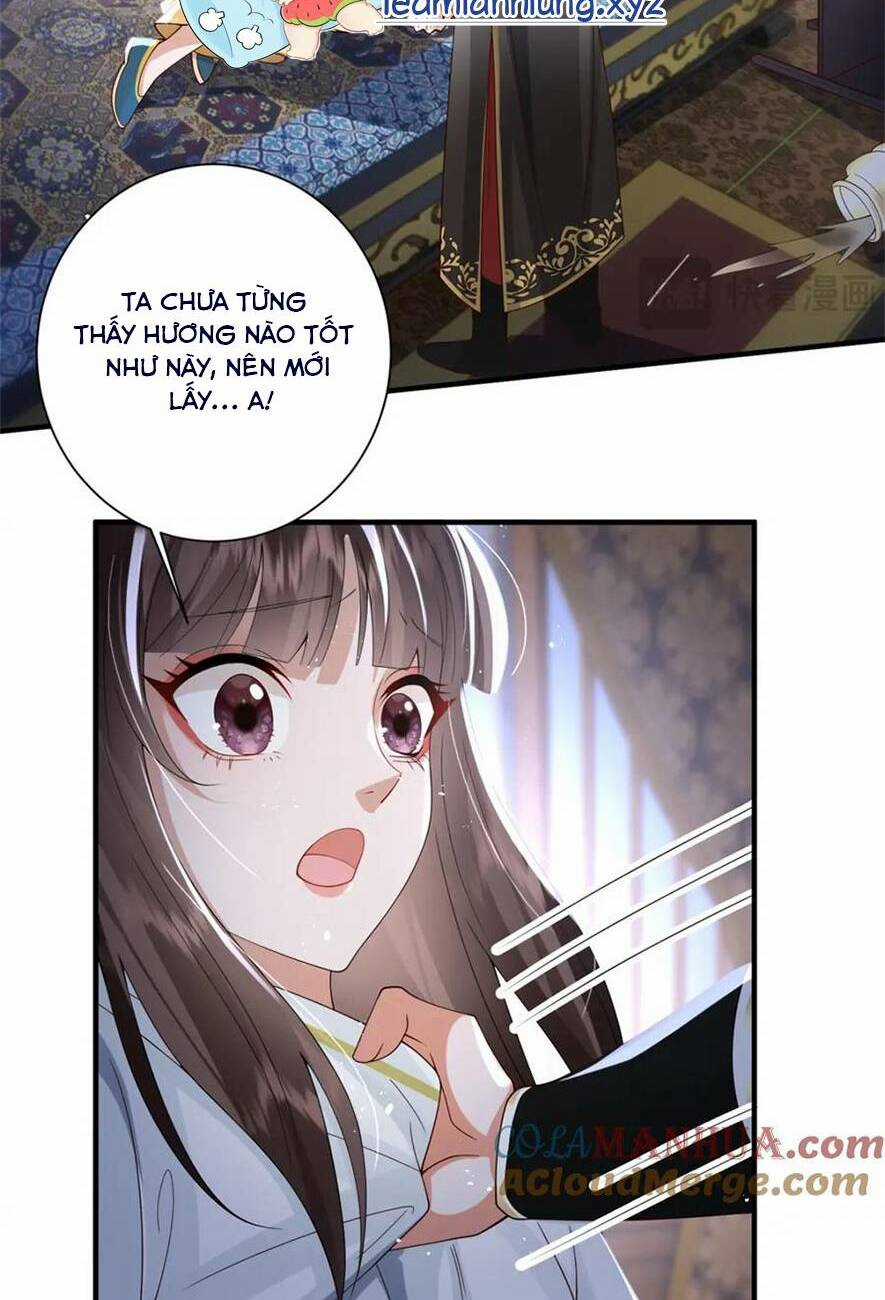 Phượng Hoàng Quy Hồi Chapter 14 trang 16