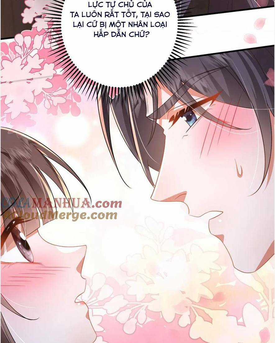 Phượng Hoàng Quy Hồi Chapter 16 trang 25