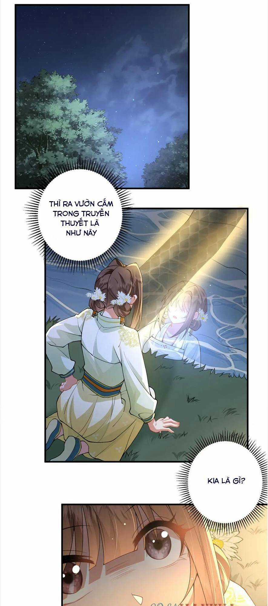 Phượng Hoàng Quy Hồi Chapter 17 trang 25