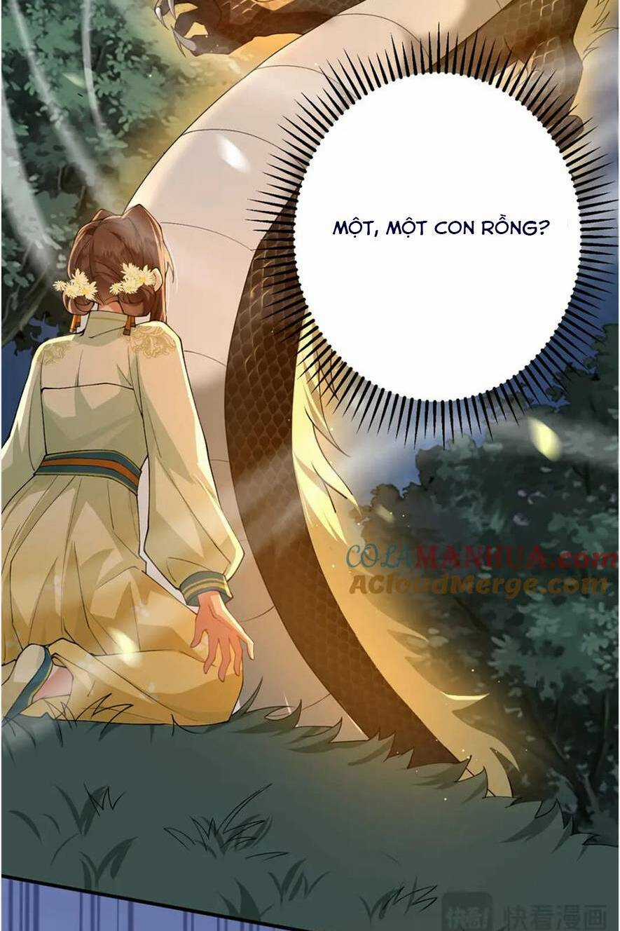 Phượng Hoàng Quy Hồi Chapter 17 trang 27