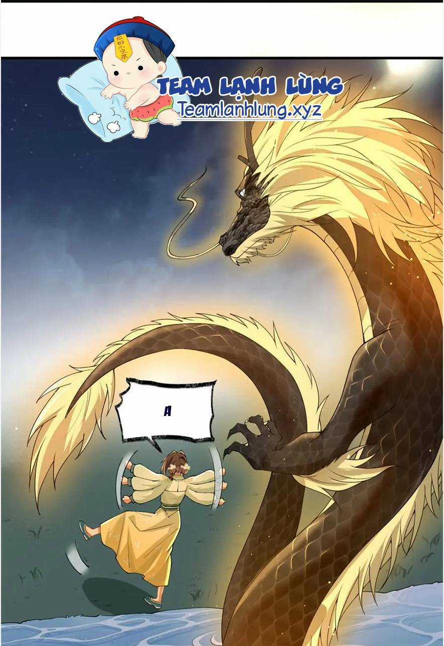 Phượng Hoàng Quy Hồi Chapter 17 trang 29