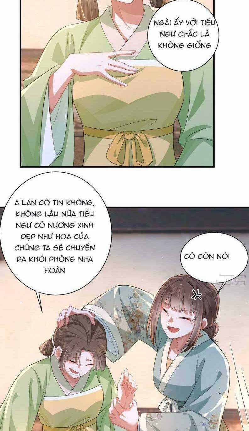 Phượng Hoàng Quy Hồi Chapter 20 trang 16
