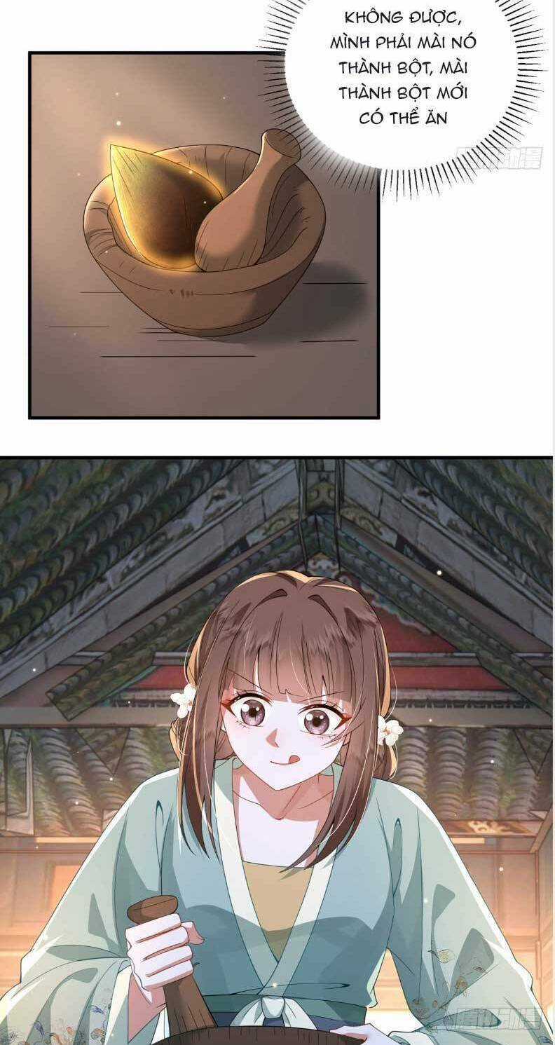 Phượng Hoàng Quy Hồi Chapter 20 trang 24