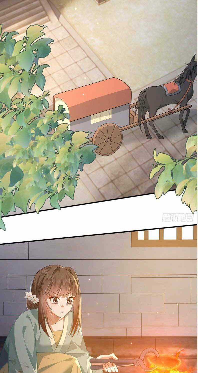 Phượng Hoàng Quy Hồi Chapter 20 trang 27