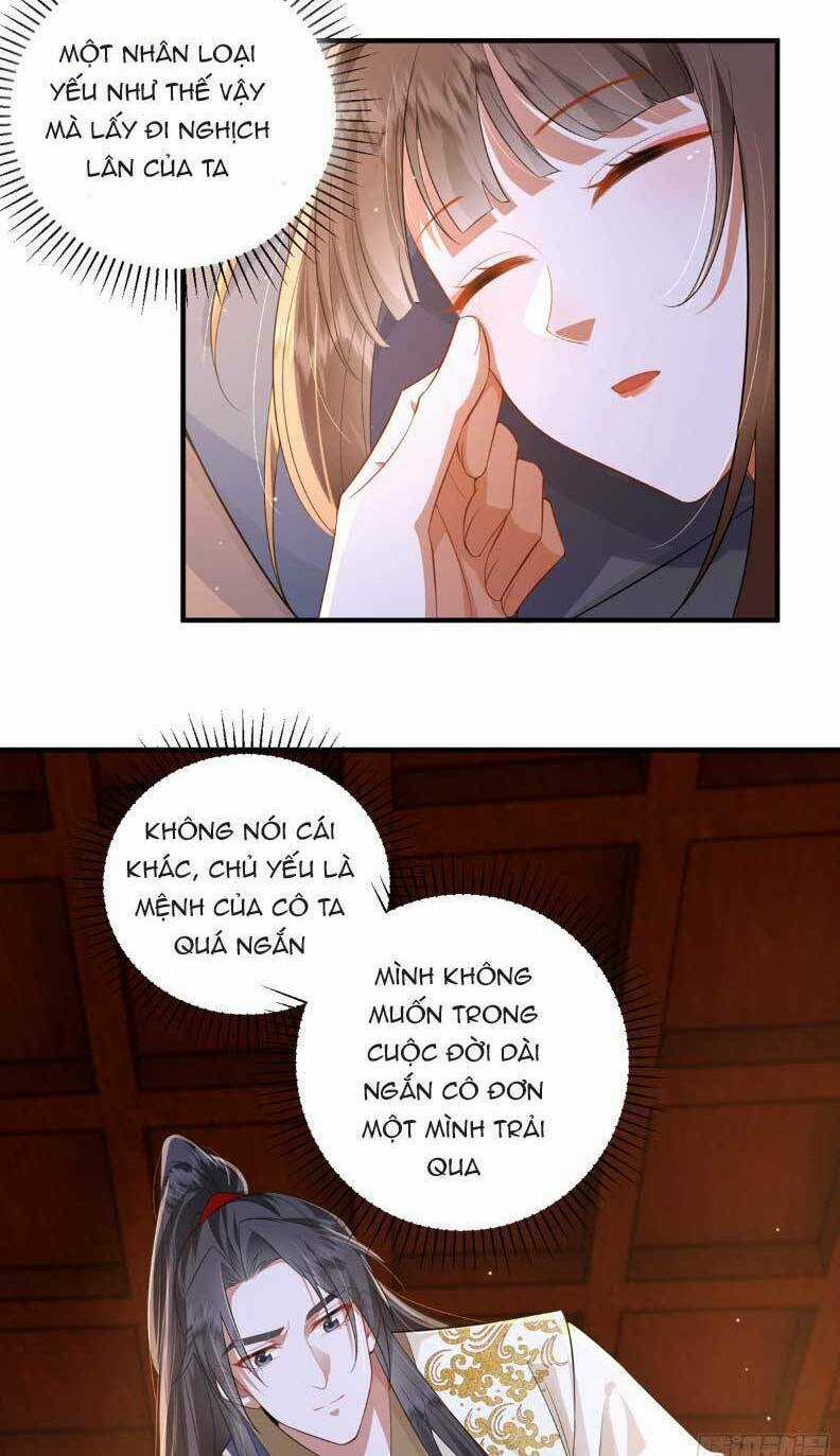 Phượng Hoàng Quy Hồi Chapter 20 trang 4