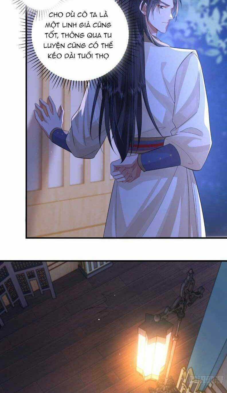 Phượng Hoàng Quy Hồi Chapter 20 trang 6