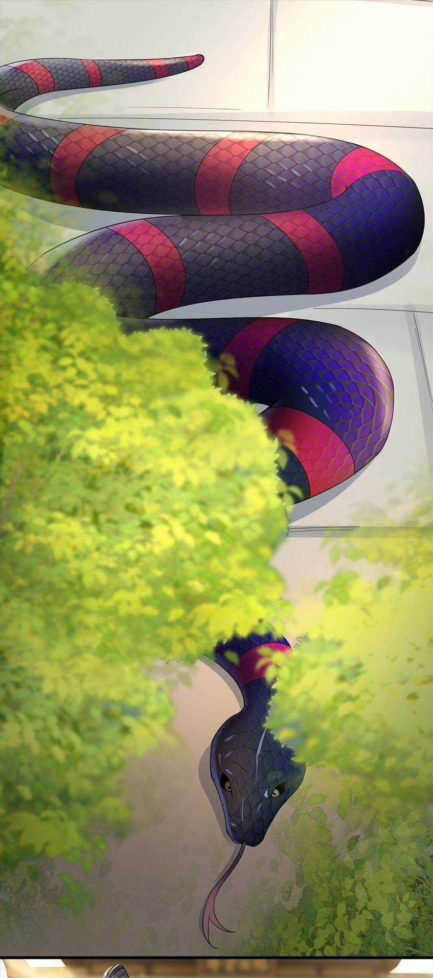 Phượng Hoàng Quy Hồi Chapter 7 trang 11