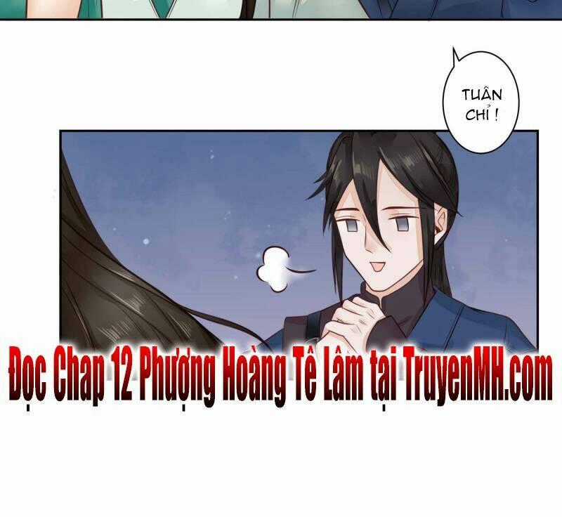 Phượng Hoàng Tê Lâm Chapter 11 trang 13
