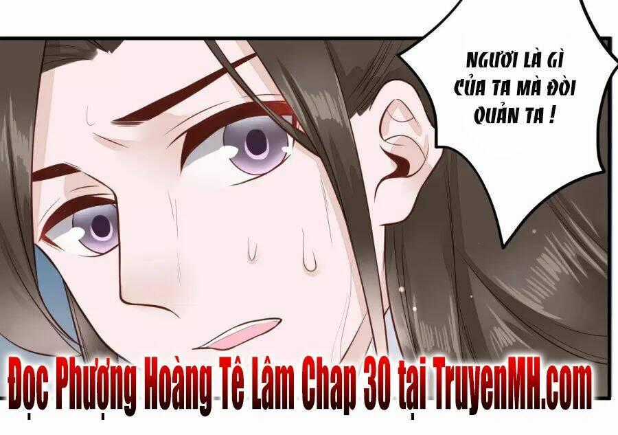 Phượng Hoàng Tê Lâm Chapter 29 trang 17