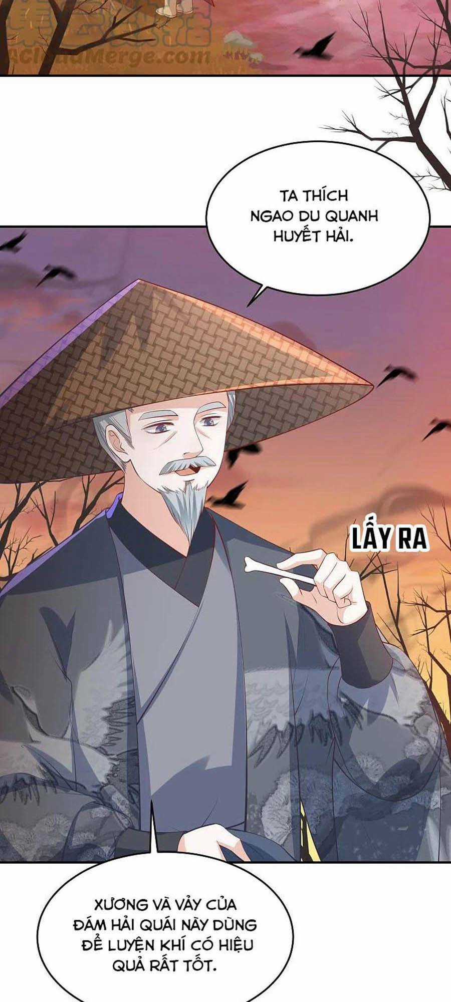 Phượng Hoàng Thác: Chuyên Sủng Khí Thê Chapter 241 trang 1