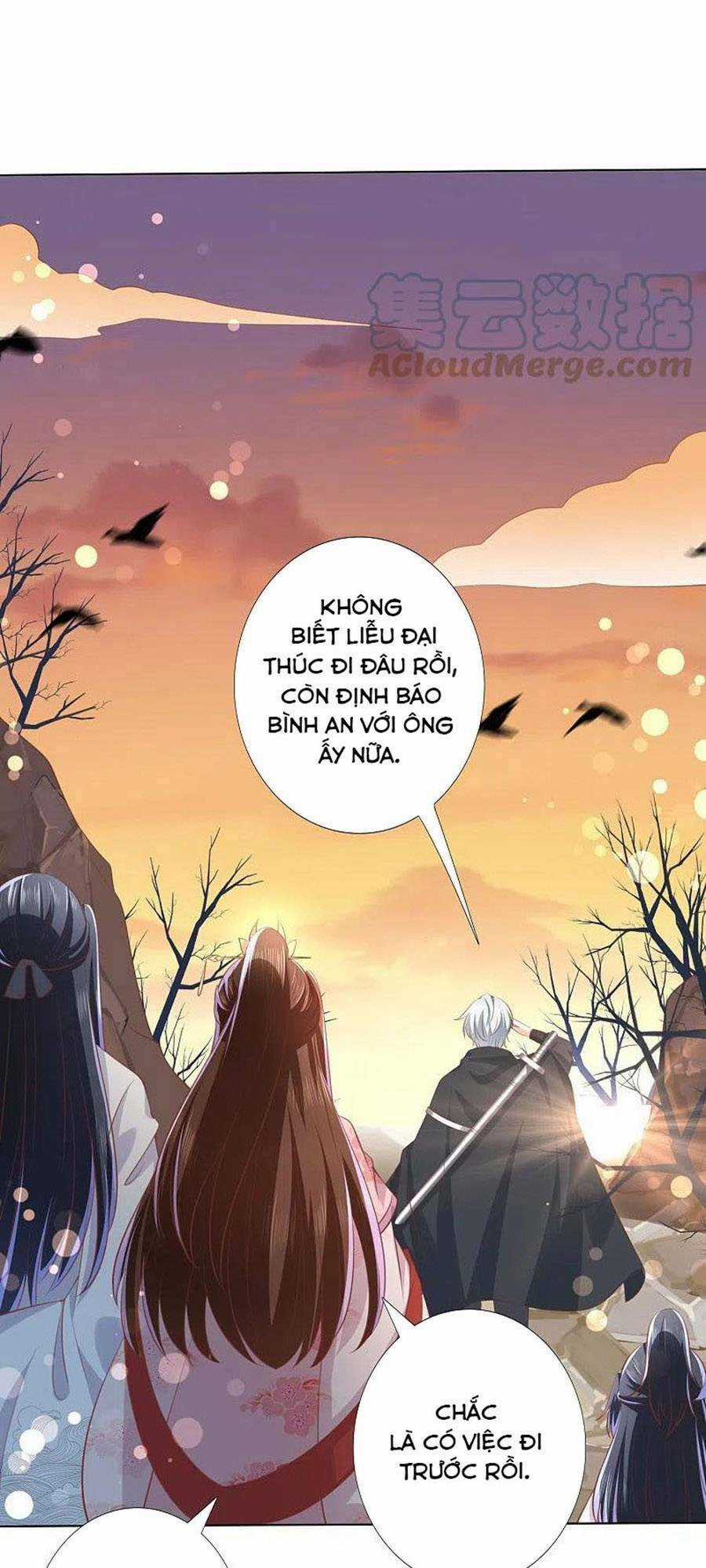 Phượng Hoàng Thác: Chuyên Sủng Khí Thê Chapter 248 trang 0