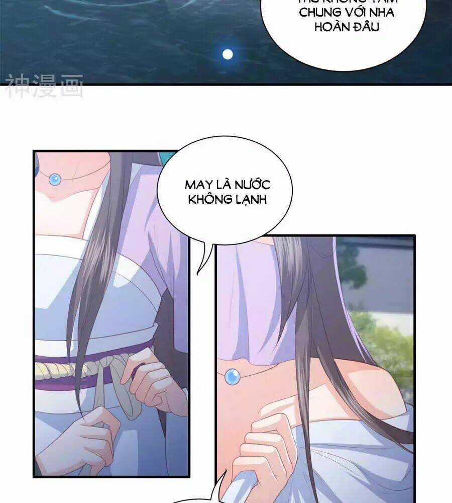 Phượng Hoàng Thác: Chuyên Sủng Khí Thê Chapter 41 trang 1