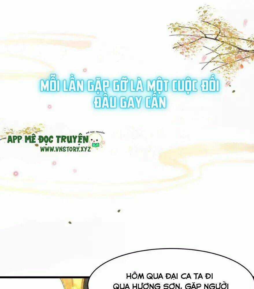 Phượng Hoàng Vu Phi Chapter 0 trang 24