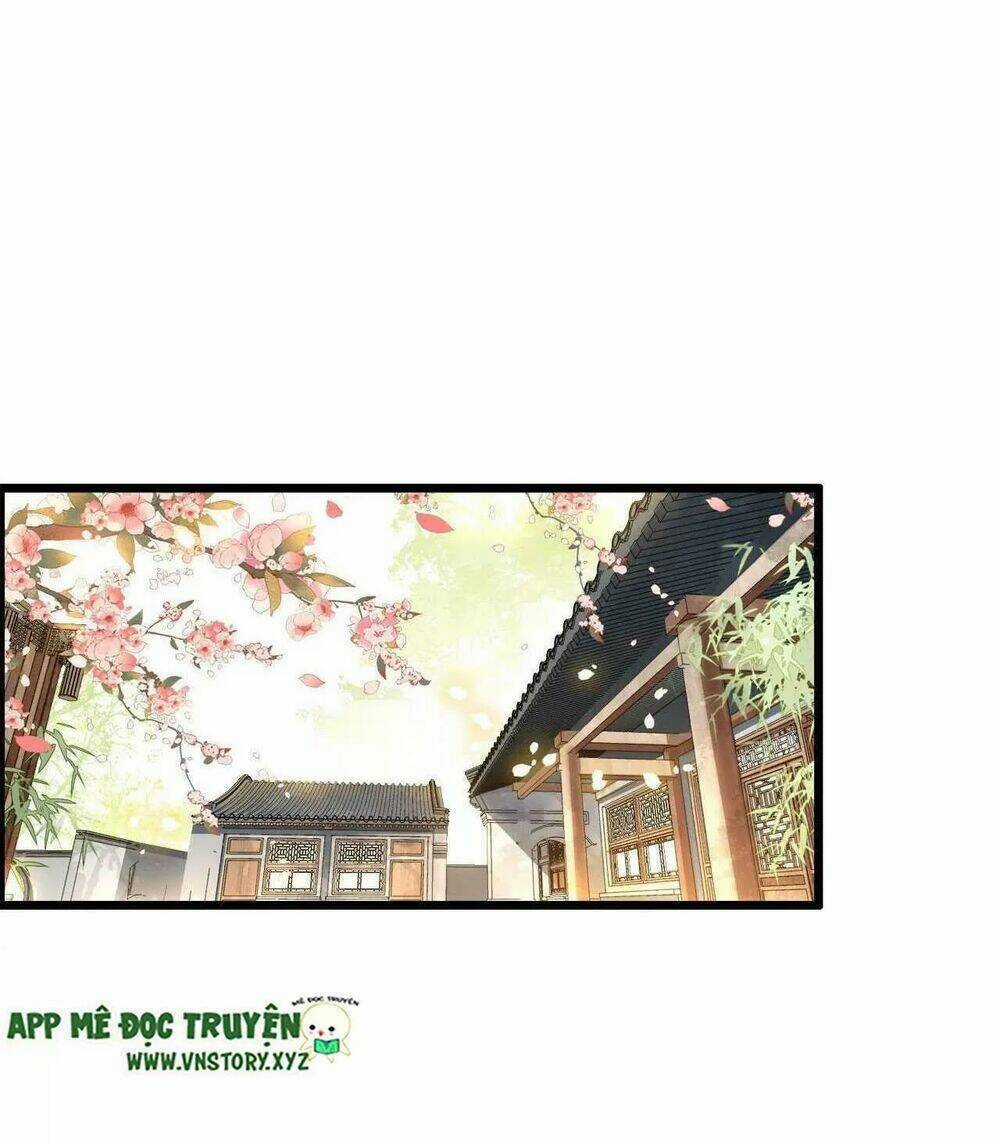 Phượng Hoàng Vu Phi Chapter 101 trang 8