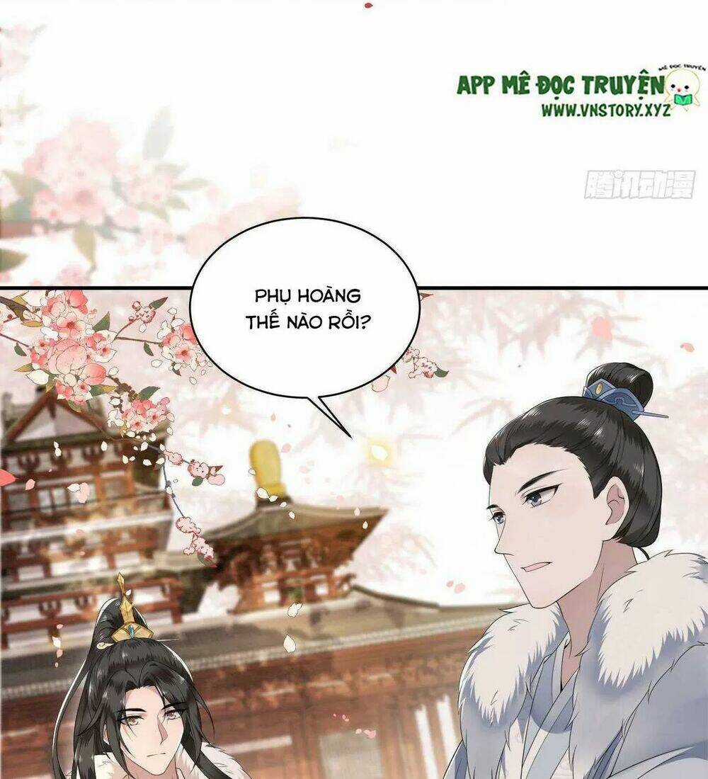 Phượng Hoàng Vu Phi Chapter 102 trang 11