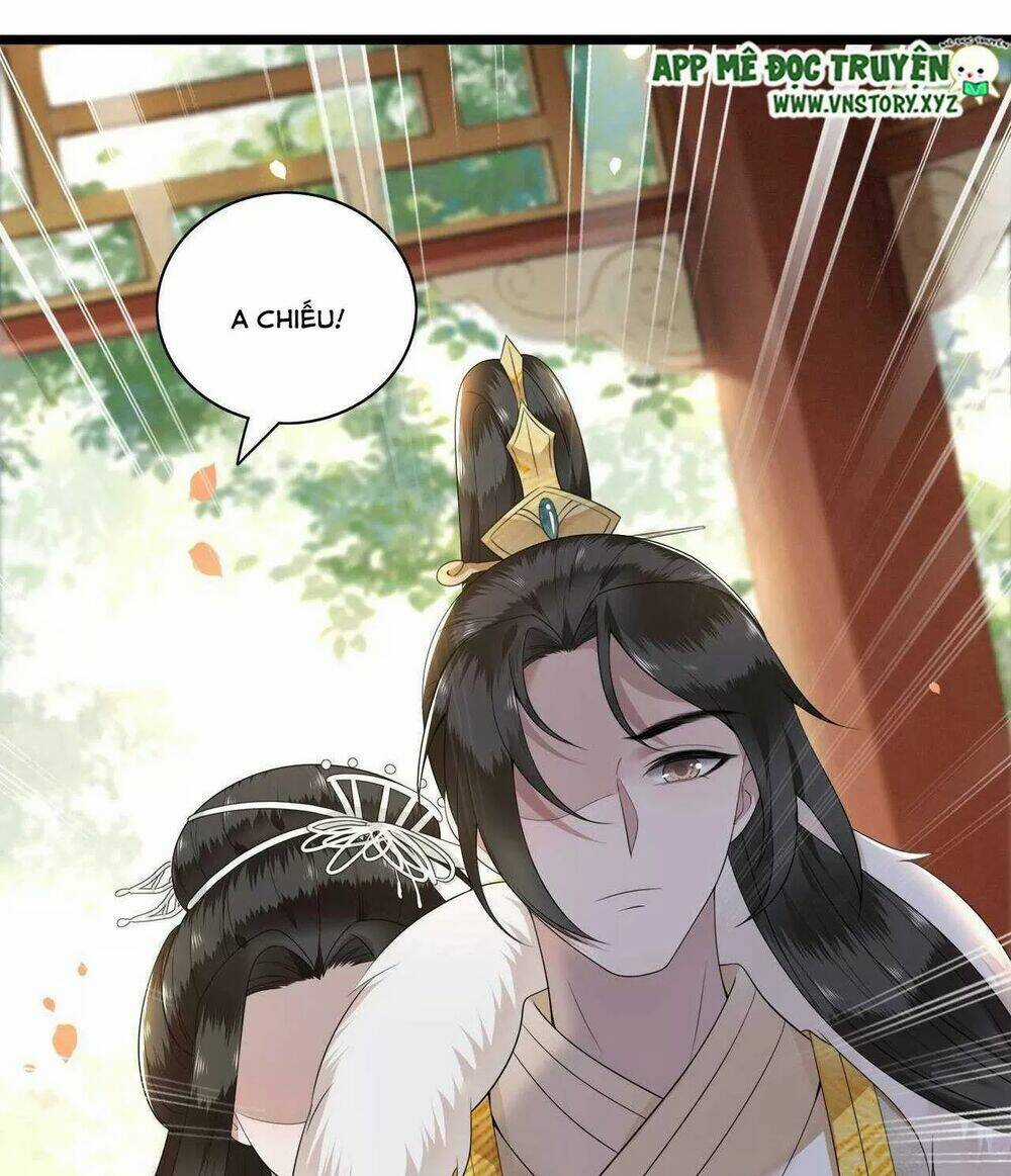 Phượng Hoàng Vu Phi Chapter 104 trang 14