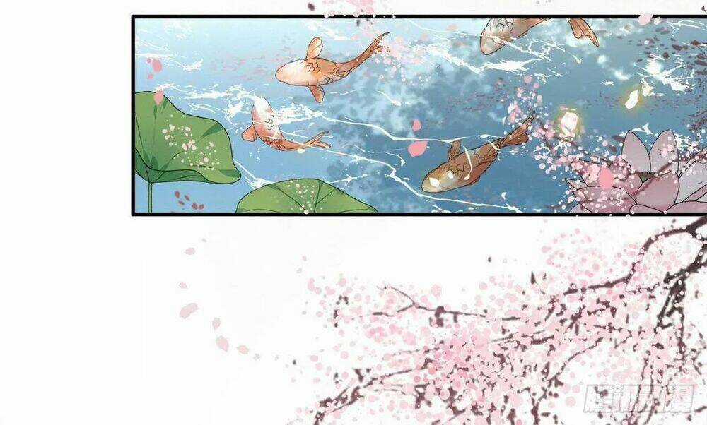 Phượng Hoàng Vu Phi Chapter 105 trang 17