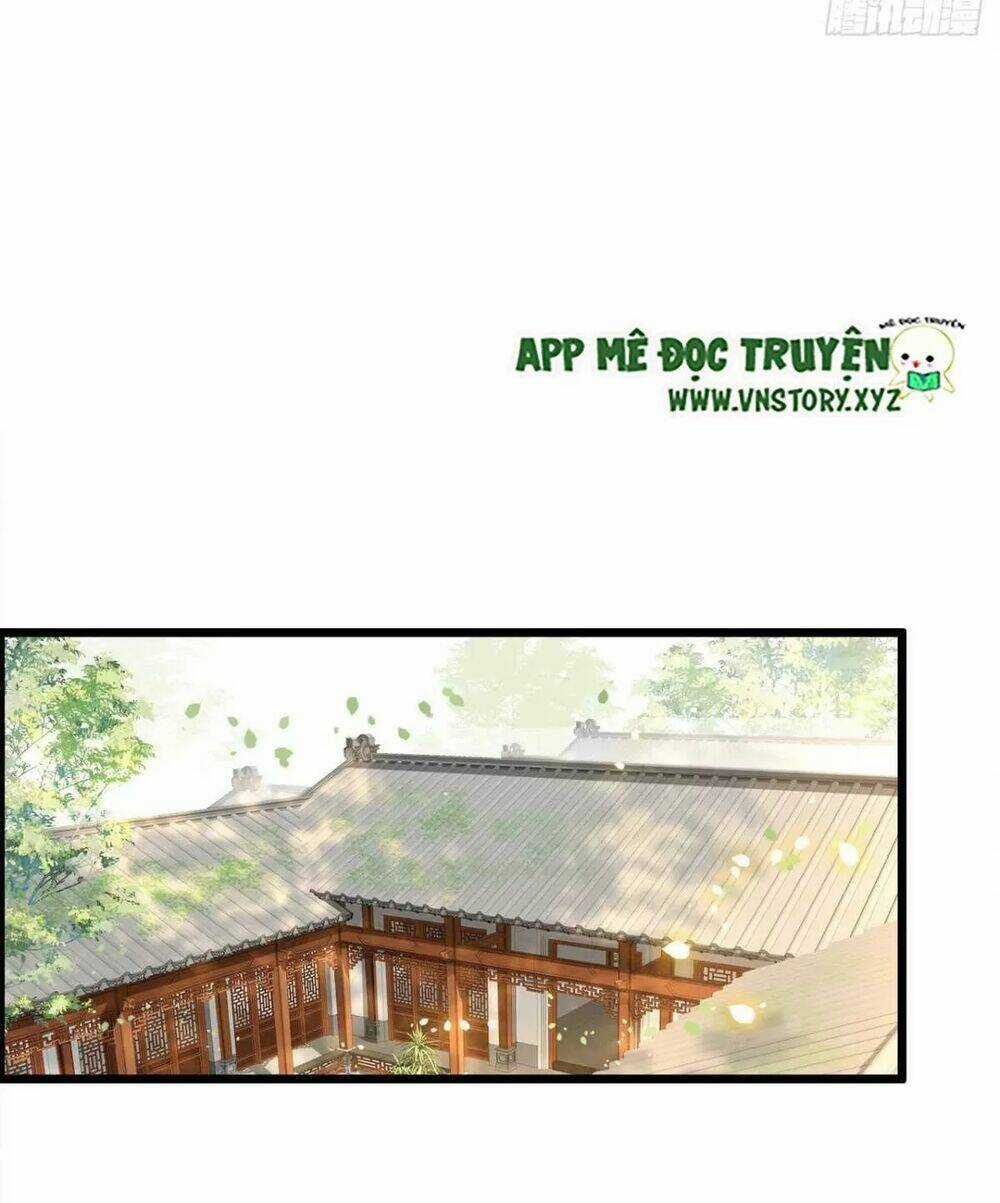 Phượng Hoàng Vu Phi Chapter 111 trang 2