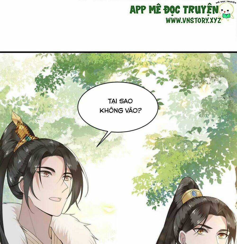 Phượng Hoàng Vu Phi Chapter 112 trang 3