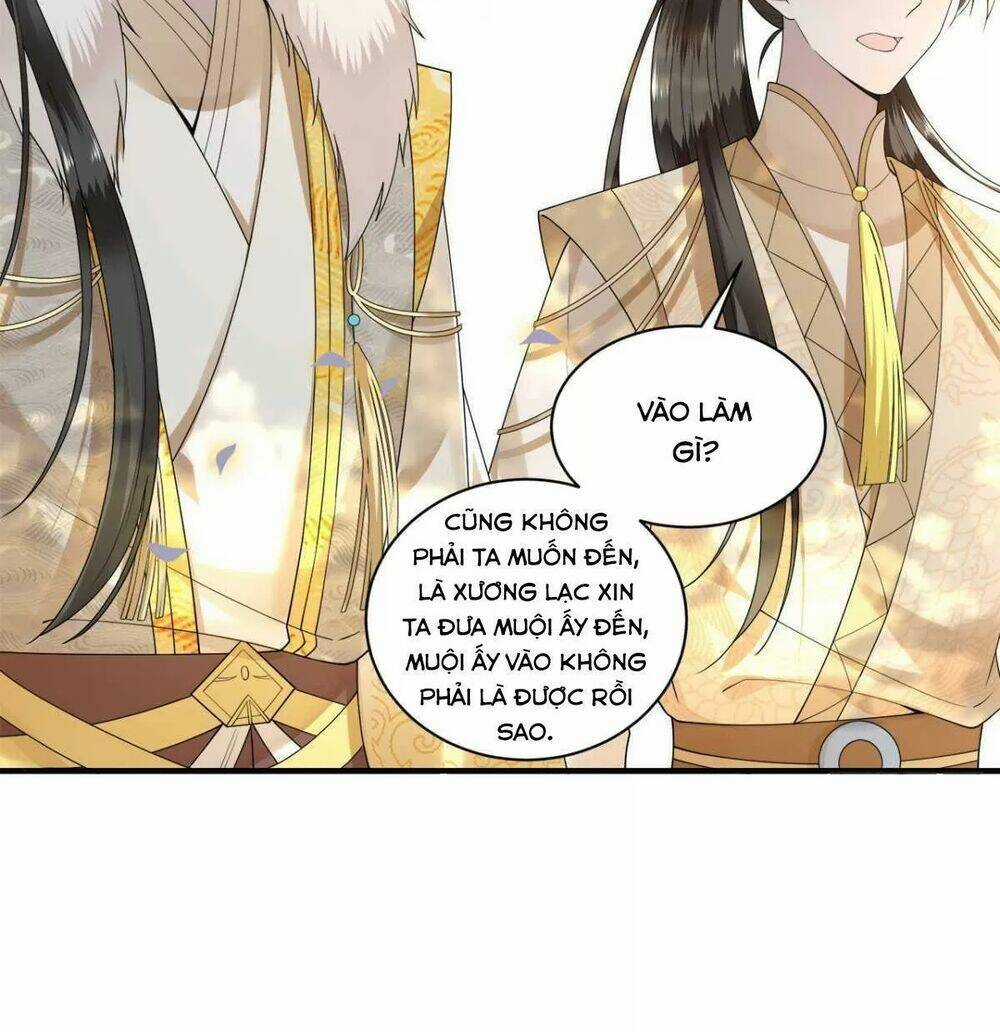 Phượng Hoàng Vu Phi Chapter 112 trang 4