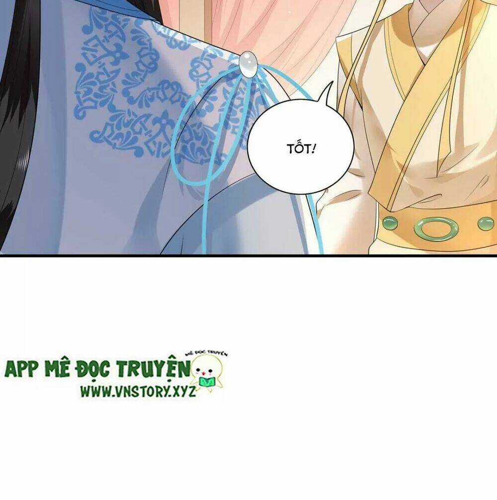 Phượng Hoàng Vu Phi Chapter 117 trang 17