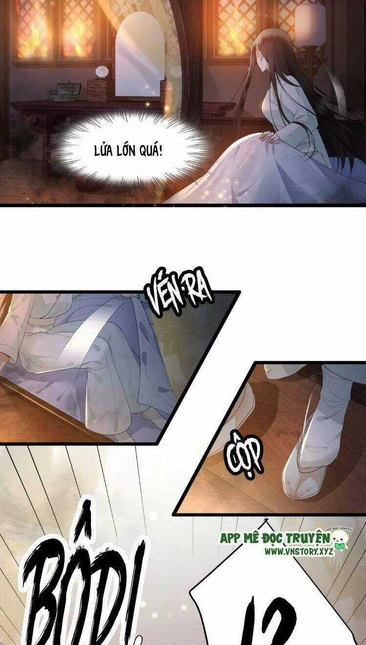 Phượng Hoàng Vu Phi Chapter 12 trang 3