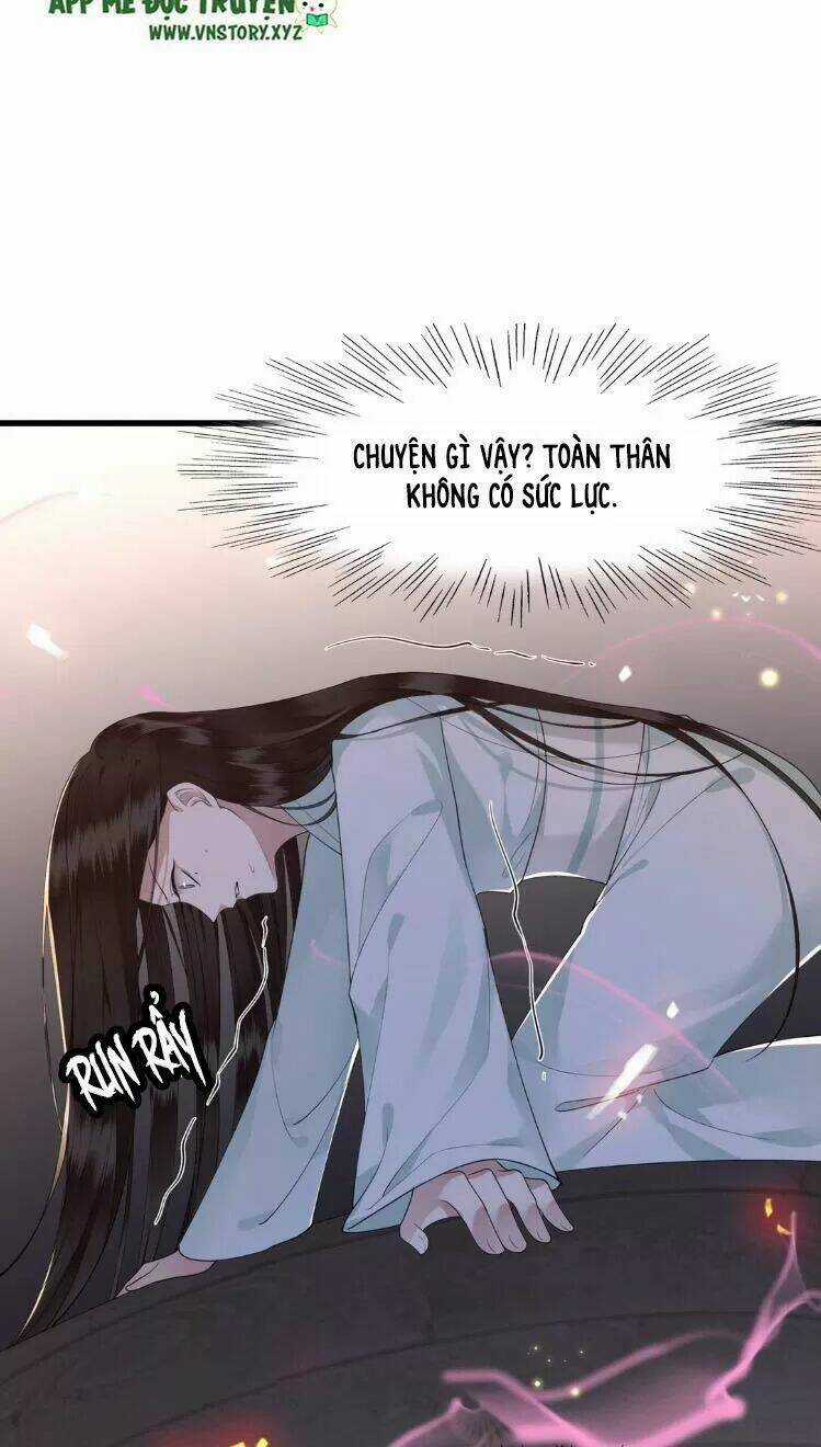 Phượng Hoàng Vu Phi Chapter 12 trang 5