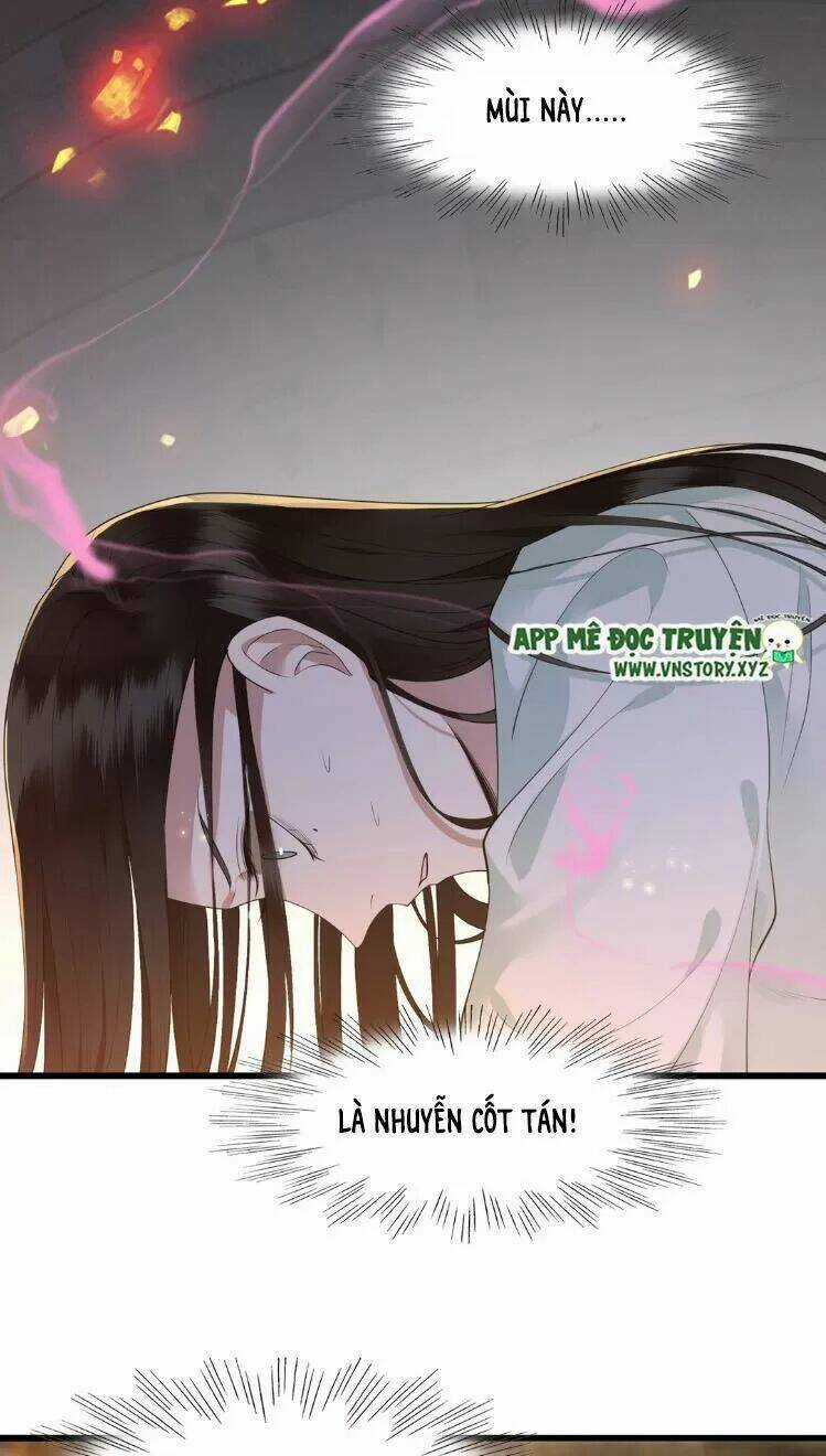 Phượng Hoàng Vu Phi Chapter 12 trang 6