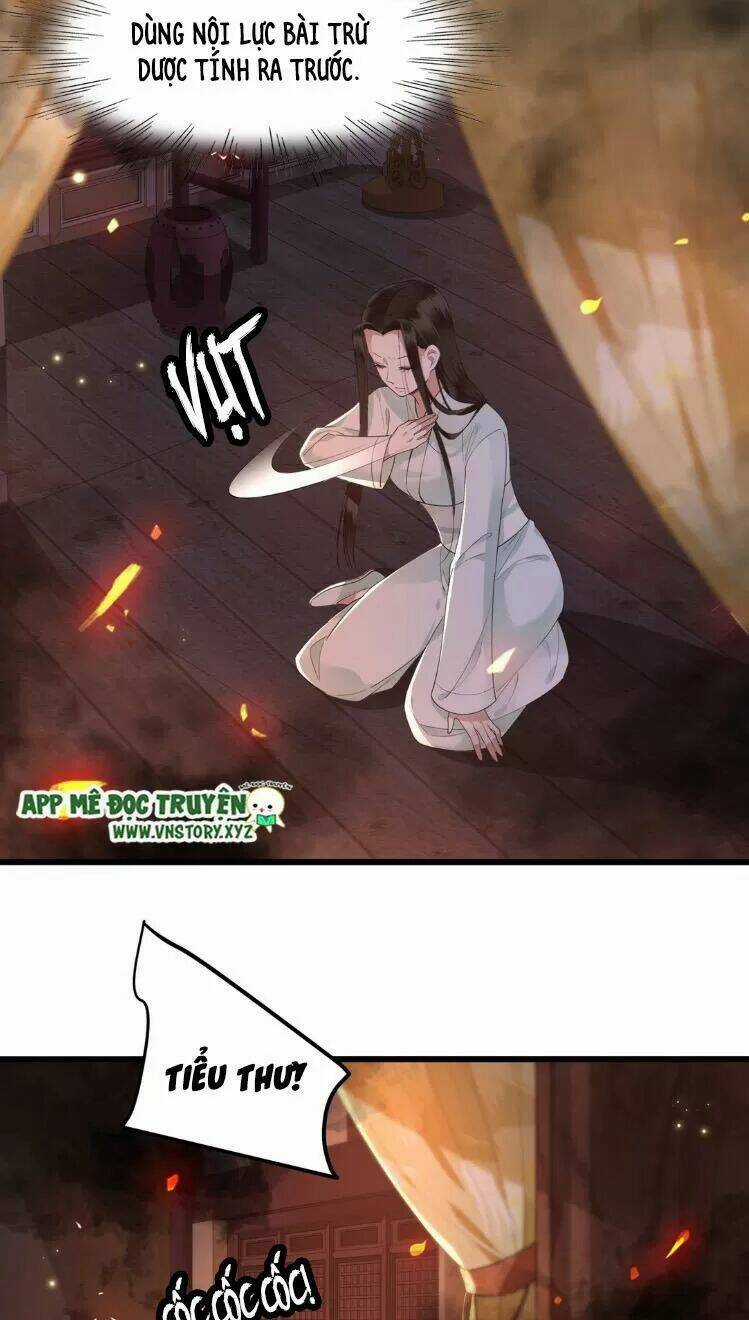 Phượng Hoàng Vu Phi Chapter 12 trang 7