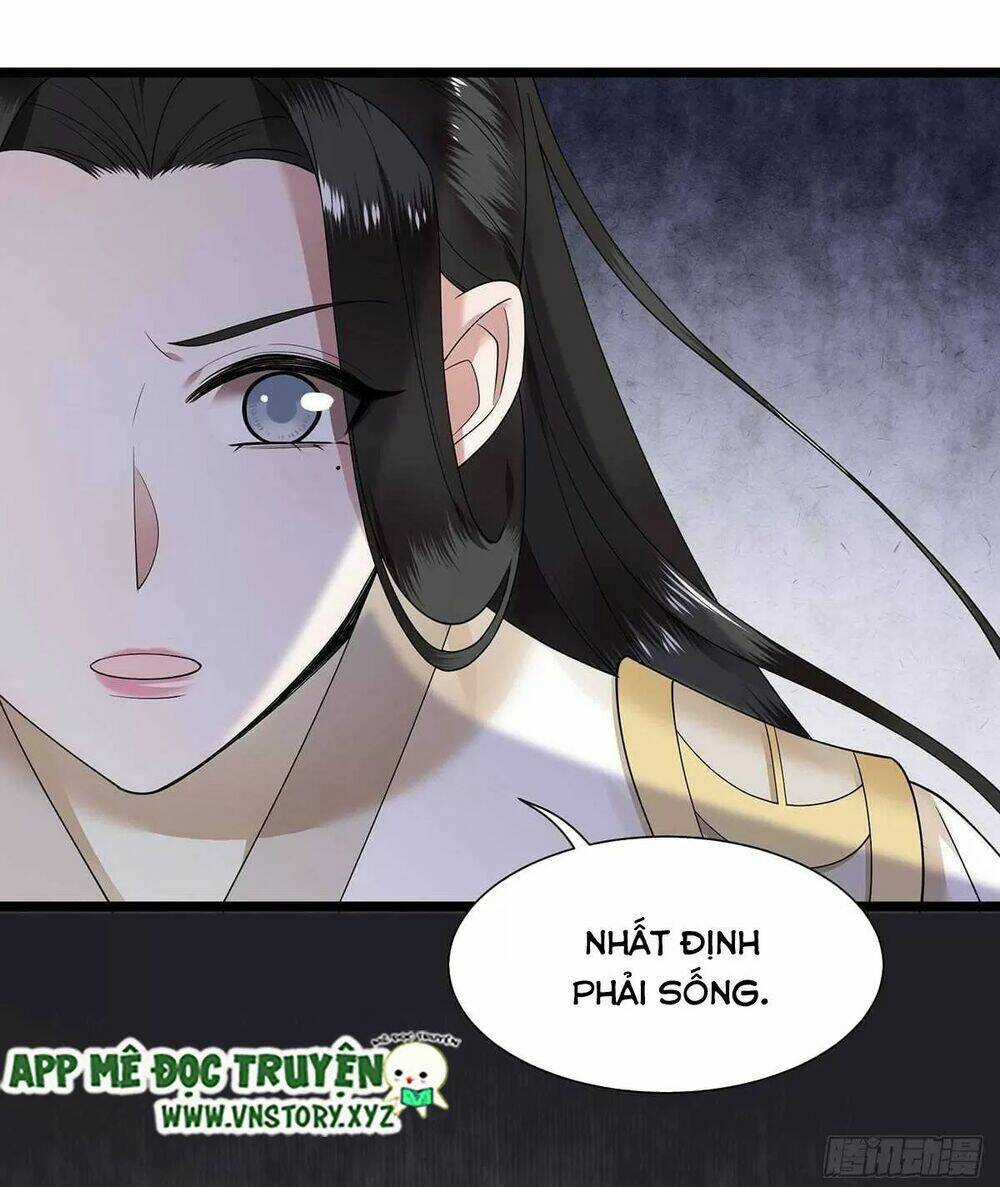 Phượng Hoàng Vu Phi Chapter 120 trang 12