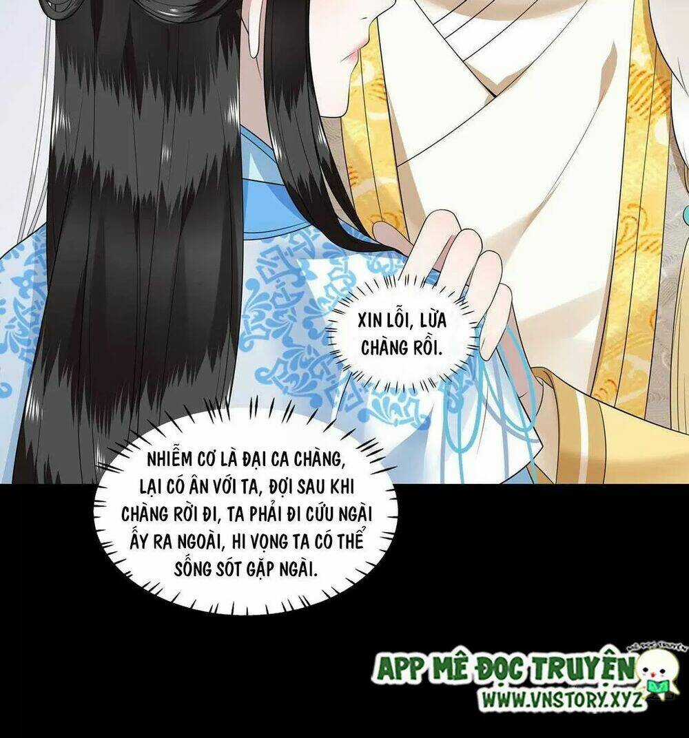 Phượng Hoàng Vu Phi Chapter 121 trang 25