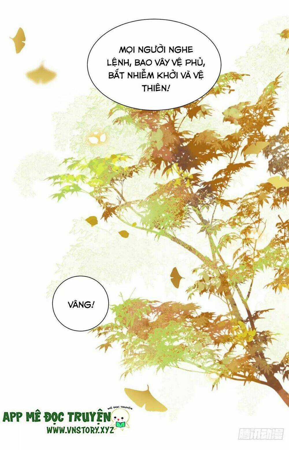 Phượng Hoàng Vu Phi Chapter 124 trang 11