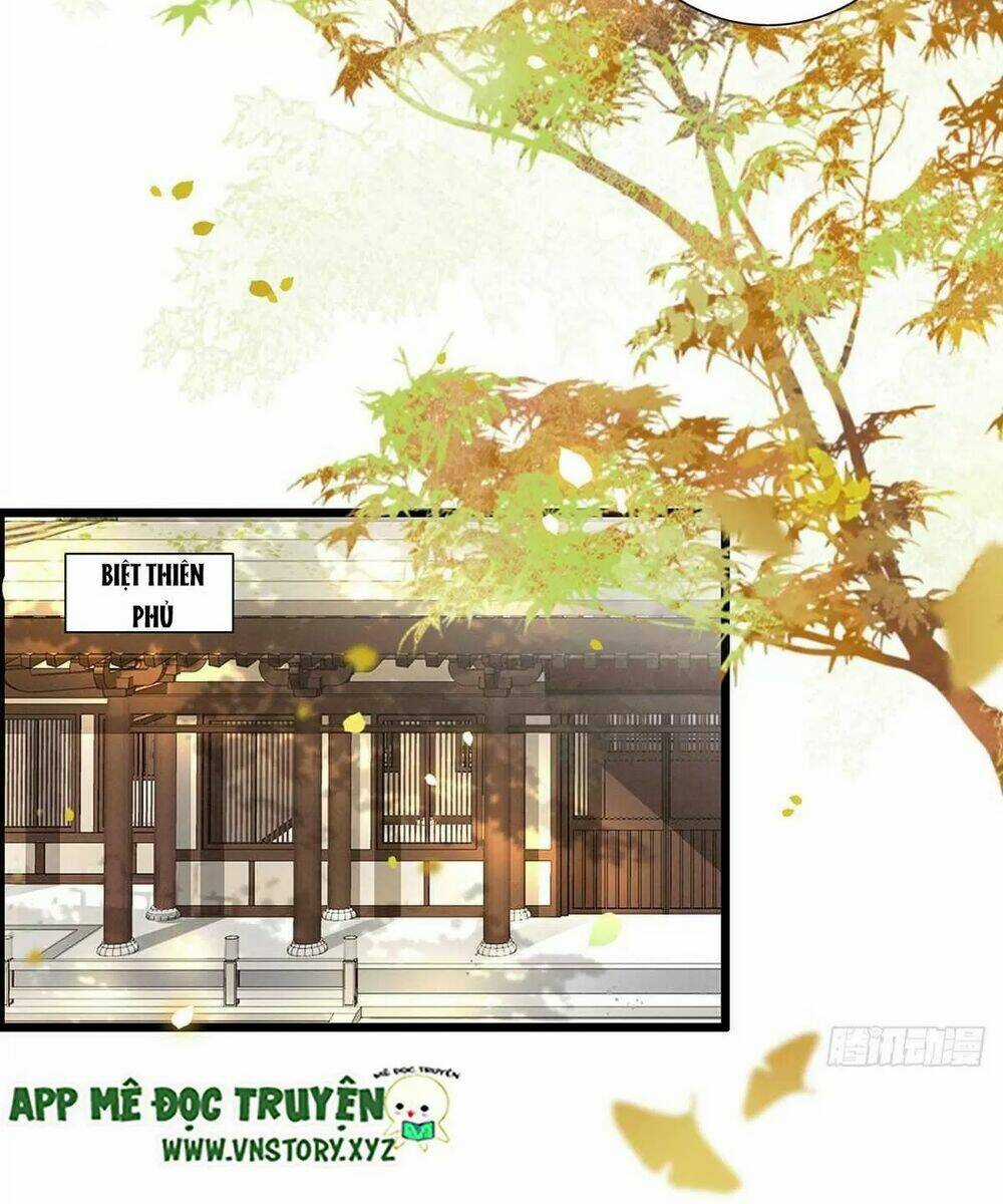 Phượng Hoàng Vu Phi Chapter 124 trang 15