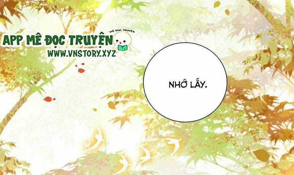 Phượng Hoàng Vu Phi Chapter 124 trang 40